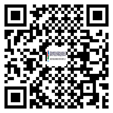 親，掃一掃<br/>瀏覽手機云網站